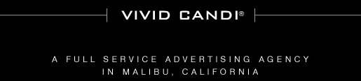 vivid candi logo