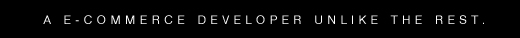 Orange County ecommerce web site Designer