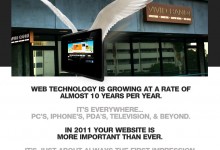 2011 vivid candi website design