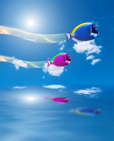 flying fish superimposement graphic design