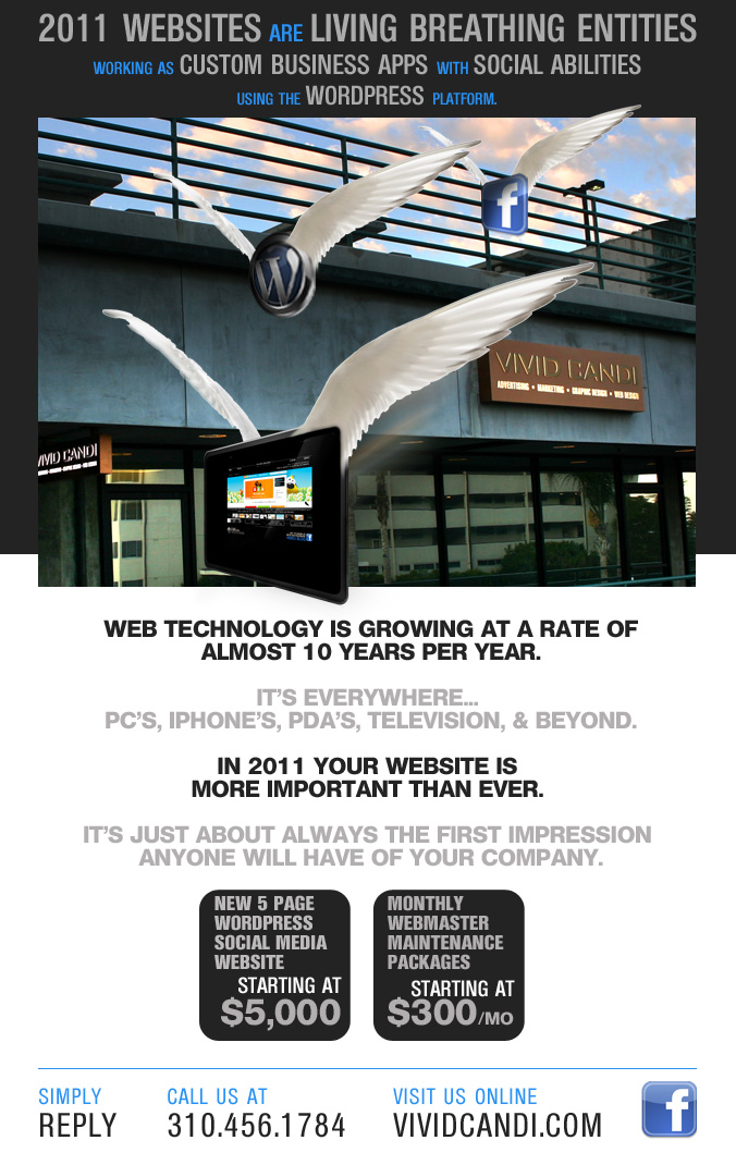 2011 vivid candi website design