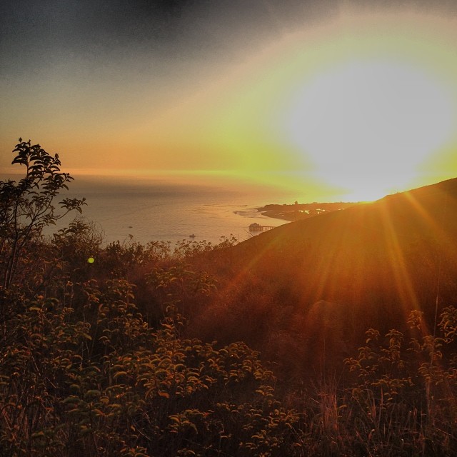 View from the top of Vivid Canyon behind our offices.