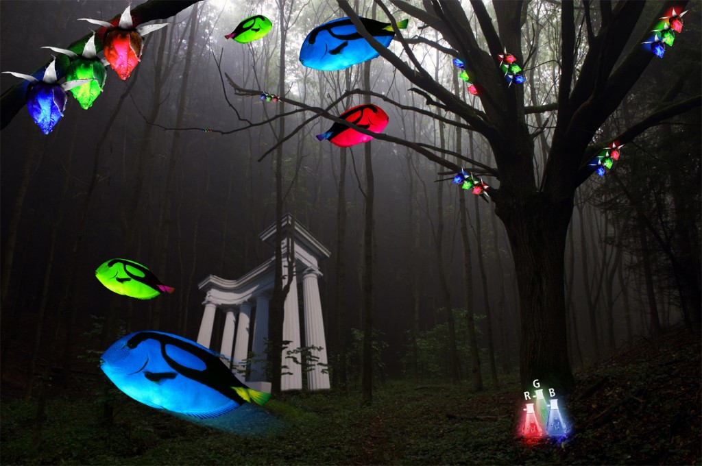 vivid Forrest surreal graphic design