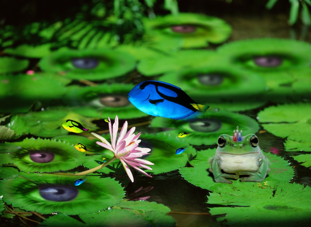 vivid lily pads surreal graphic design