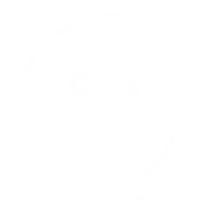 happy face icon