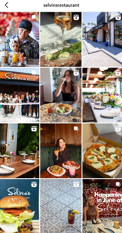 selvins ig grid