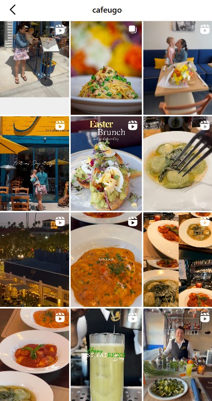 ugo ig grid